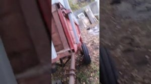 Трактор Т 16 м выгрузка навоза!