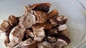 Сушеные белые грибы