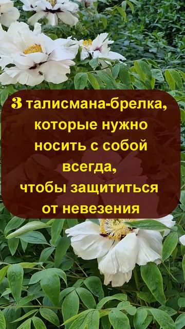 3 талисмана-брелка, которые нужно носить с собой всегда, чтобы защититься от невезения смотреть онлайн