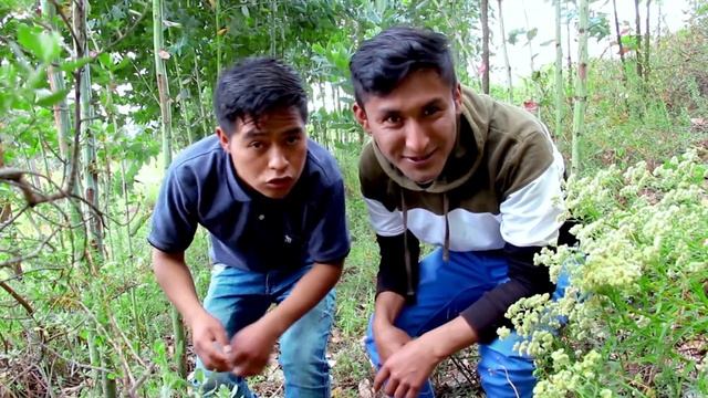 Roma y Luz (Recuperando mi poncho y mi sombrero) Parte 2 Videos graciosos смотреть онлайн