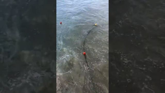 Vacanta in para(gina)Dis🤷♂️Sunny beach Bulgaria 2019