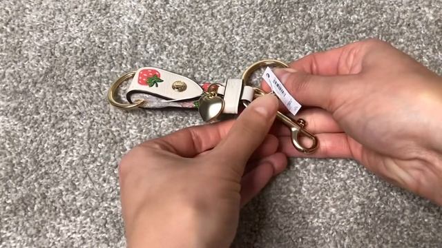 COACH Trigger Snap Bag Charm with Strawberry Print #coach #coachoutlet #unboxing #unboxingvideo #🍓 смотреть онлайн
