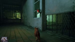 Stray-Поиск Клементины в ночном клубе