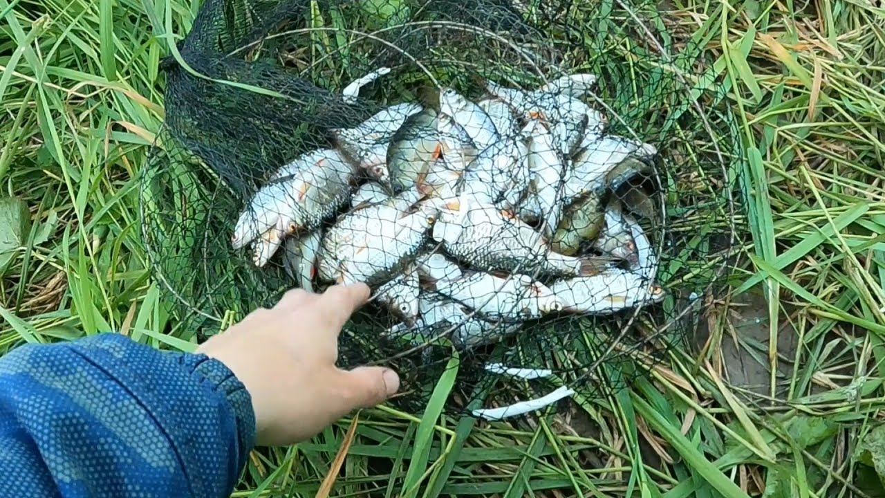 Рыбачим на микроречке.Поймали кучу рыбы.Отдых.