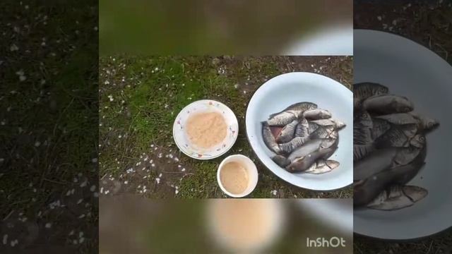 Жареная рыба. Караси жареные в масле