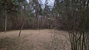 ЯСНОВИДЕНИЕ ДЛЯ РОЗАЛИИ. Инга Хосроева, Ведьмина изба.