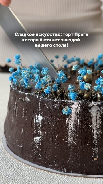 Торт "Прага" для стройной фигуры