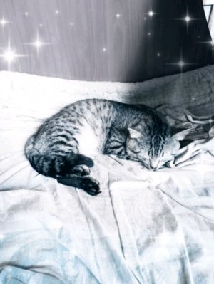 не я