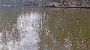 Поимки форели продолжаются. Клёвое место, Лосиный остров, спорт-зона.