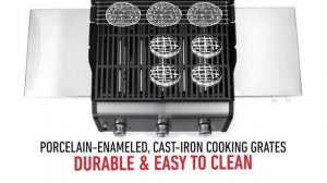 WEBER SPIRIT E-215/E-315 GBS