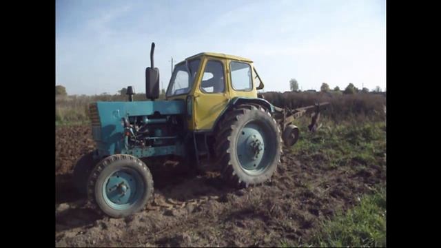 Трактор ЮМЗ 6 Осенняя пахота 2015! смотреть онлайн