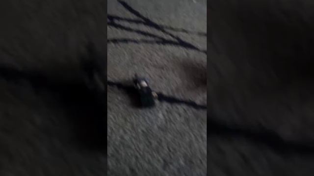 Обзор на Лего пилота смотреть онлайн