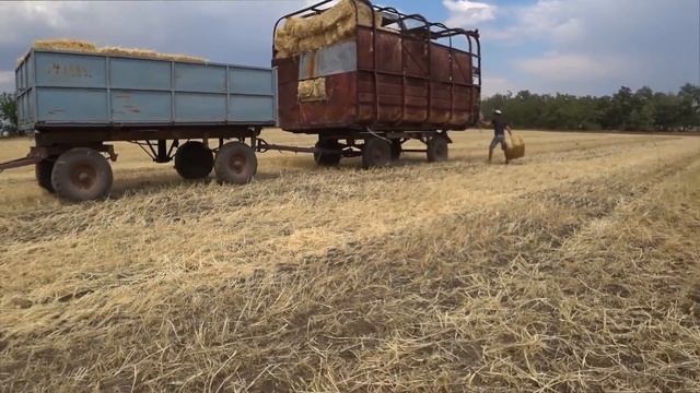 Погрузка тюков соломы. МТЗ-892
