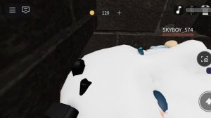 играем в роблокс головы