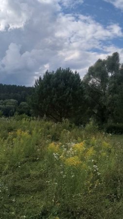 Луга Тульской области