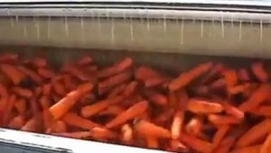 Мойки моркови