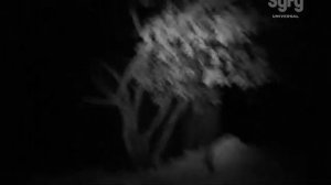 По следам призраков. Жертвенные духи майя: Белиз.10 серия.