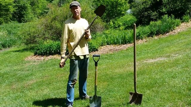 PROPER SHOVEL TO USE FOR DAYLILY GARDENING. смотреть онлайн