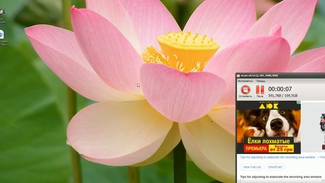 Запись 2015 01 30 10 40 50 628 смотреть онлайн