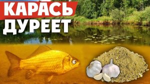 🎣 Прикормка для карася | Рецепт | Рыбалка