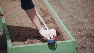 Хорский агропромышленный техникум