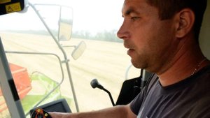 Агрофирма "Колос". Уборка ячменя