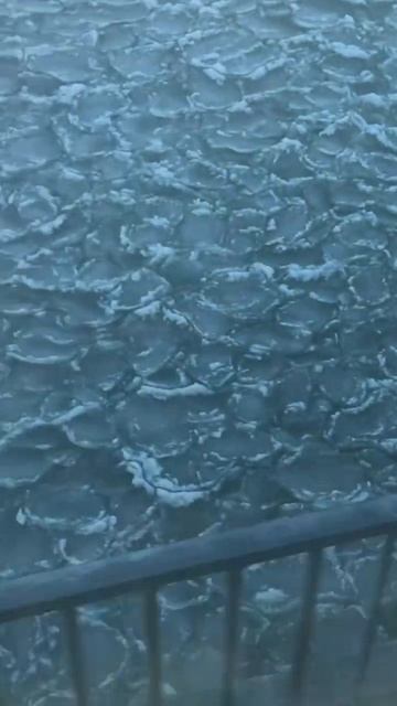 Цимлянское водохранилище вблизи Рыбинска. Вид из окна поезда. 2023.