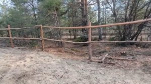 Жизнь в селе. Их это так злит. Убрали весь мусор с участка. Полы в доме. Что выросло для огорода