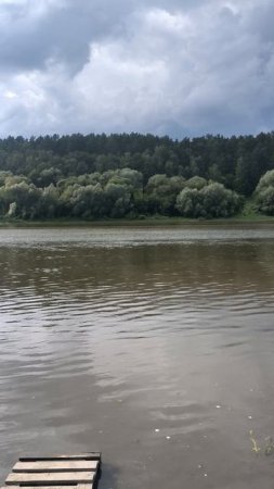 Рыба выпрыгивает из воды в реке
