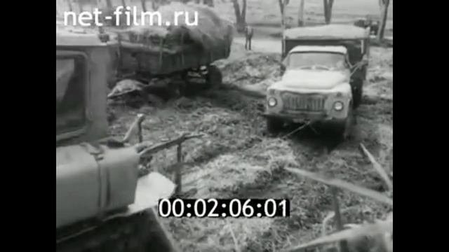 1985г. колхоз Победа Правдинский район Калининградская обл