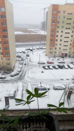 19 апреля❄️❄️ Опять зима!? 😳 #михалычдачник #весна #снег
