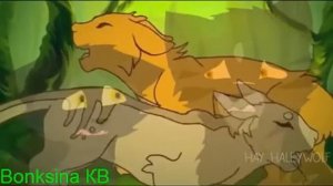 •Коты-Воители\ Огнезвезд и Песчаная Буря клип ~Как Челентано~