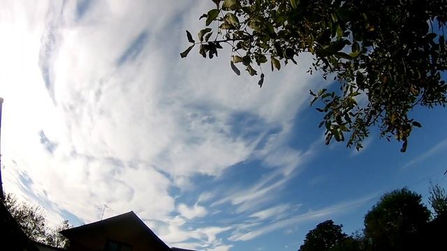 собрали орехи смотреть онлайн