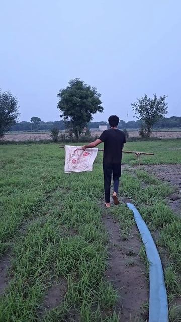 Panther Ki Ladai Hogi #vlog #bluebox