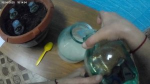 Дрожжевая подкормка для петунии.