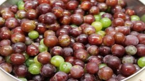 Густое повидло из винограда