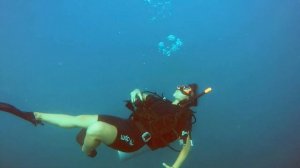 My diving days with DPM in 2020 | Koh Tao, Thailand