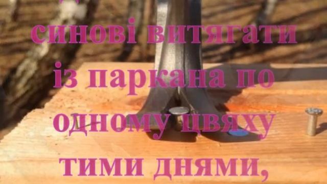 Арцизька РДБ притча про цвяхи