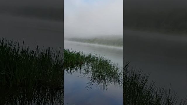 выезд на рыбалку рыбалка на Оке fishing
