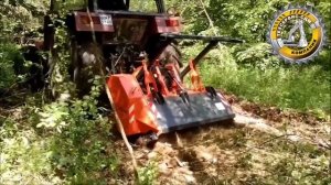 Лесной мульчер FFM в работе.