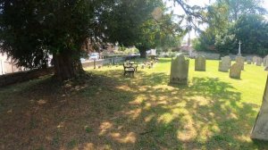 Fujifilm X-T3 в паре с Fujifilm XC 35 mm F2. Впечатления. Примеры.