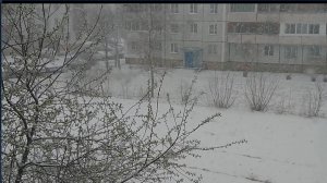 Снежный апокалипсис.