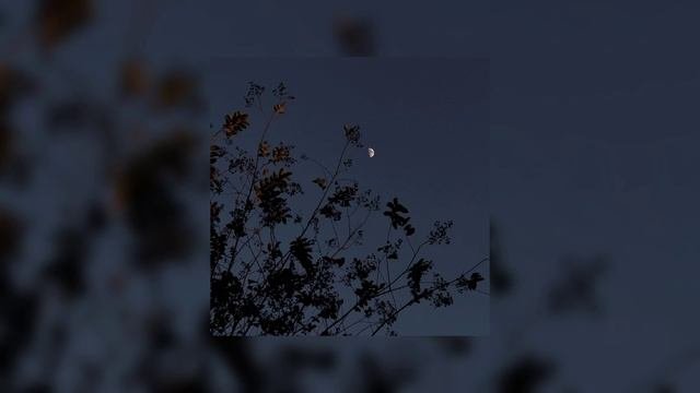 Merab Amzoevi - Были бы крылья (slowed + Reverb)