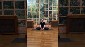 Поза мудреца🧘🏻♂️#растяжка #гимнастика #йога #stretching #gymnastics #yoga