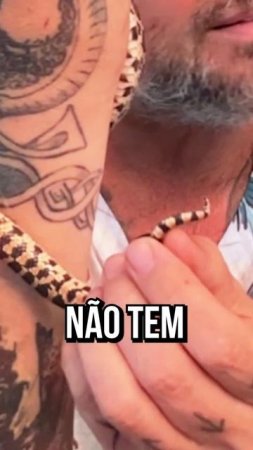 ESSA É A BULL SNAKE! #shorts