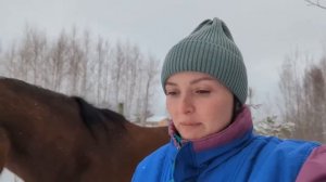 ЧТО ТО ПОШЛО НЕ ТАК. СЫРОЙ ПОДВАЛ В КАРКАСНОМ ДОМЕ. УЕХАЛИ ИЗ ДЕРЕВНИ НА ЗАВОД. ЖИЗНЬ В ДЕРЕВНЕ
