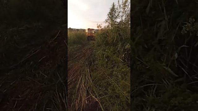 ДТ 75 в поисках железа