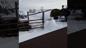 Погрузка сена трактором Мтз 82.