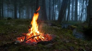 📺 Костер в туманном лесу у реки 🔥 100% Аутентичные звуки