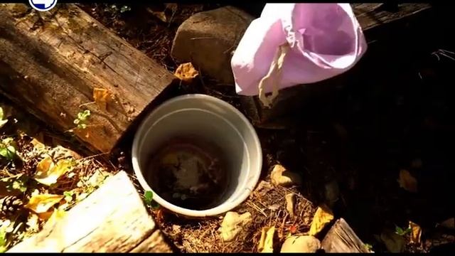 Голодные медведи смотреть онлайн